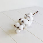 Rama de algodón artificial - pequeña