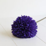 Alium artificial - Morado