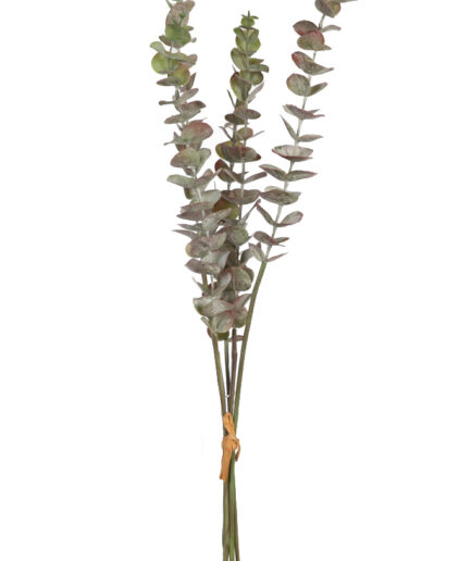 Atado de ramas de eucalipto artificial - Verde con matices rojizos