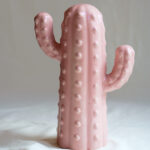 Cactus - Rosa